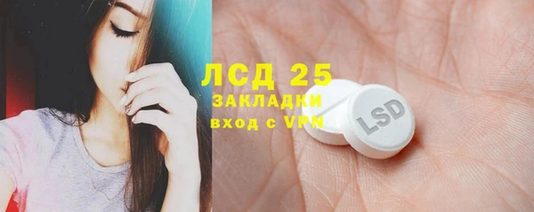 шишки Богородск