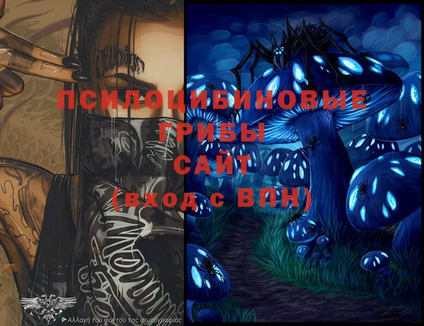 спайс Богородицк