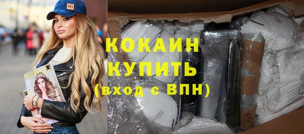 шишки Богородск